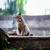 Collier pour chat avec clochette pour AirTag