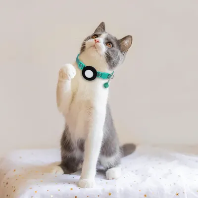Collier pour chat avec clochette pour AirTag