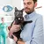 Collier pour chat avec clochette pour AirTag