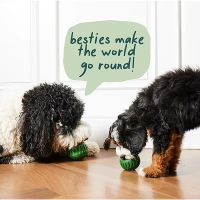 Jouets à mâcher pour chiens remplis de glace et plateaux en silicone