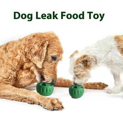 Jouets à mâcher pour chiens remplis de glace et plateaux en silicone