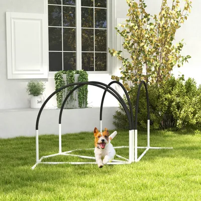 Lot de 4 pièces d'équipement agility