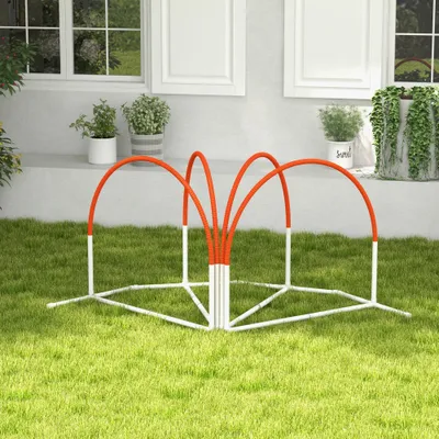 Lot de 4 pièces d'équipement agility- arceaux entrainement pour chien