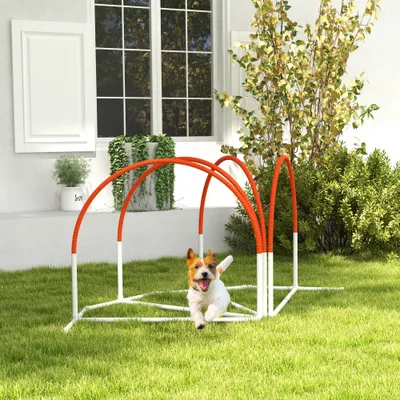 Lot de 4 pièces d'équipement agility- arceaux entrainement pour chien