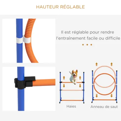 Kit d'agilité pour chien 4 pièces avec slalom