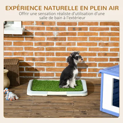 Toilette pour chien litière avec tapis en gazon artificiel plateau
