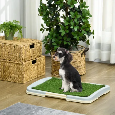 Toilette pour chien litière avec tapis en gazon artificiel plateau