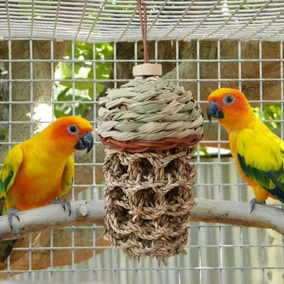 ZooVenture Jouets pour perroquets d'oiseaux,Morsure Cage Perroquet en Bois