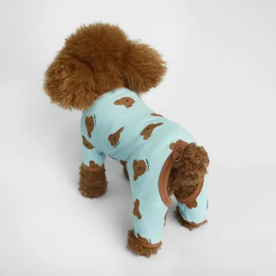 ZooVenture Genesungsanzug für Hunde, Blau – Größe M