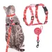 ZooVenture Ensemble harnais et laisse anti-fuite pour chat