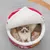 ZooVenture Panier pour Chat Chien 40*40*20cm