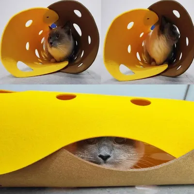 ZooVenture Niche Tente pour Chien Chat