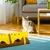 ZooVenture Niche Tente pour Chien Chat