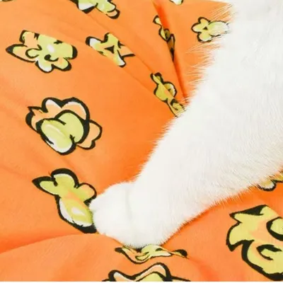 ZooVenture Panier pour Chat Chien 40*40*21cm