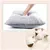 ZooVenture Pet Tent pour Chats et Petits Chiens Vert ZooVenture Pet Tent pour Chats et Petits Chiens Vert