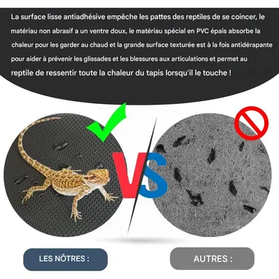 ZooVenture Tapis de terrarium pour reptiles