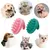 ZooVenture Souple Brosse de Massage Pour Animaux de Compagnie