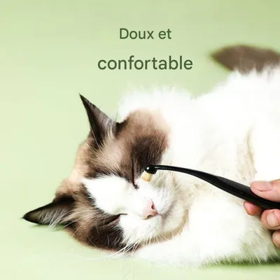 ZooVenture Élimination Taches De Larmes Lot De 4 Brosse Pour chat