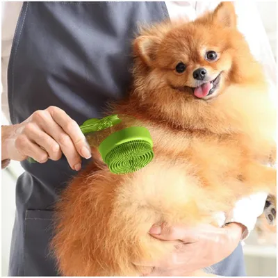 ZooVenture Brosse de toilettage pour chien et chat Vert