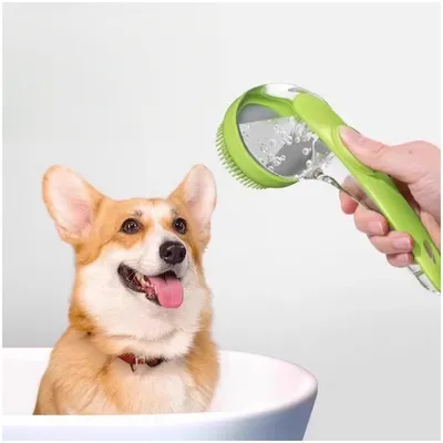 ZooVenture Brosse de toilettage pour chien et chat Vert