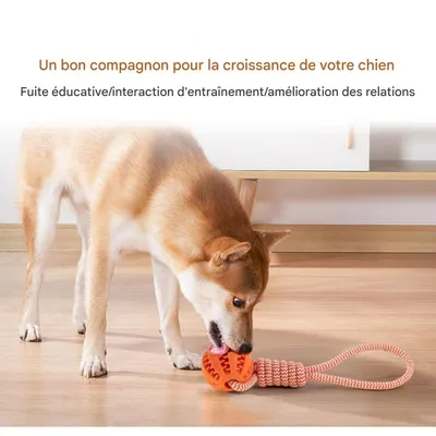 ZooVenture Hundespielzeugbälle