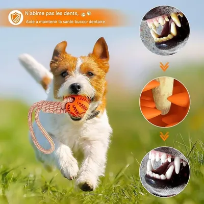 ZooVenture Hundespielzeugbälle