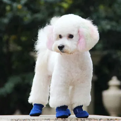 ZooVenture Rutschfeste Winterschuhe für Hunde ZooVenture Rutschfeste Winterschuhe für Hunde