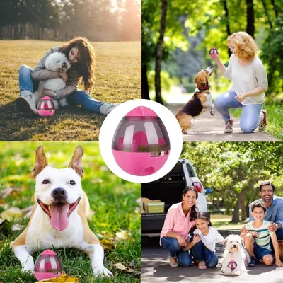 ZooVenture Jouet distributeur de croquettes pour chien