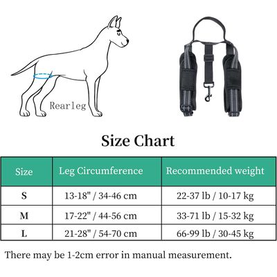 ZooVenture Harnais de Levage pour Chiens pour Les Arrière-Jambes