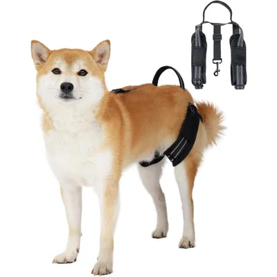 ZooVenture Harnais de Levage pour Chiens pour Les Arrière-Jambes