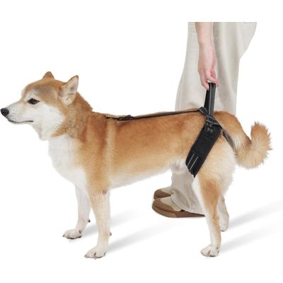 ZooVenture Harnais de Levage pour Chiens pour Les Arrière-Jambes
