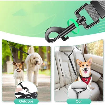 Laisse double pour chien