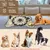 ZooVenture Tapis de Chien Snuffle Mat