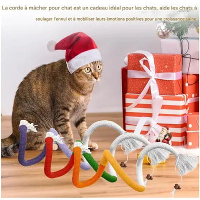 ZooVenture Jouet dentaire avec corde  chien et chat 3 pièces60cm