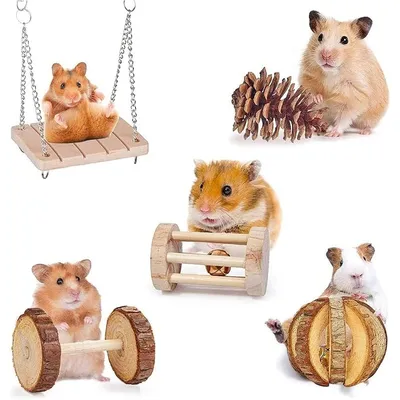 ZooVenture Lot de jouets pour petits animaux
