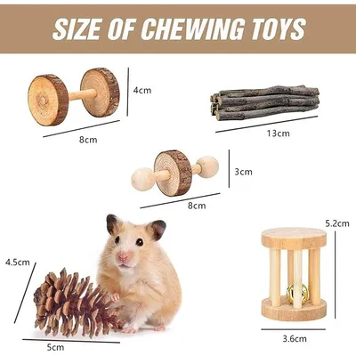 ZooVenture Lot de jouets pour petits animaux