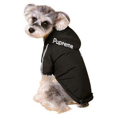 ZooVenture Manteau pour Chien d'Hiver étanche à l'eau