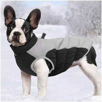 ZooVenture Manteau pour Chien d'Hiver avec anneau en D
