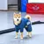 ZooVenture Hunde-Regenmantel mit Kapuze ZooVenture Hunde-Regenmantel mit Kapuze