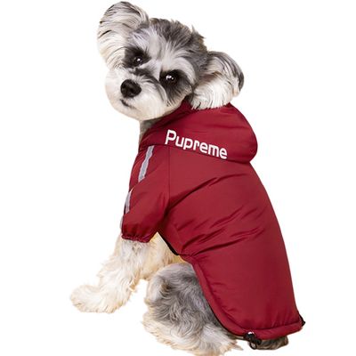 ZooVenture Manteau pour Chien d'Hiver étanche à l'eau