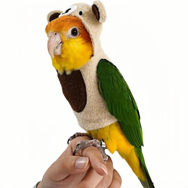 ZooVenture Vêtements pour oiseaux festifs