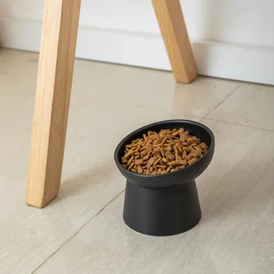 ZooVenture Gamelle surélevée pour chat et chien