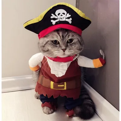 ZooVenture Costume de Pirate pour Chien et Chat ZooVenture Costume de Pirate pour Chien et Chat