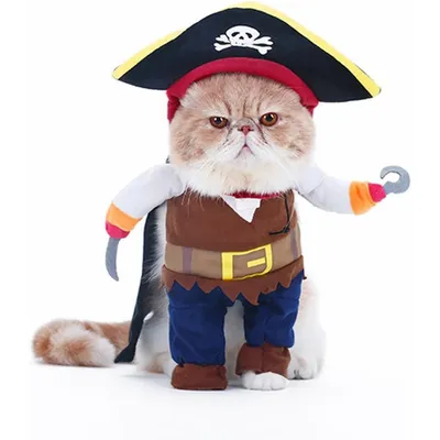 ZooVenture Disfraz de pirata para perros y gatos