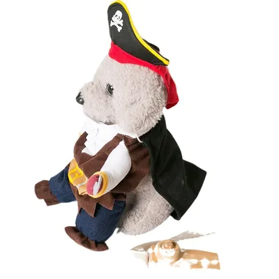 ZooVenture Costume de Pirate pour Chien et Chat ZooVenture Costume de Pirate pour Chien et Chat