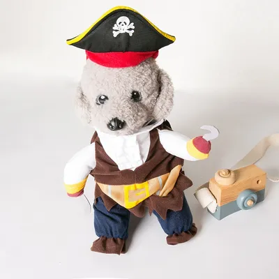 ZooVenture Costume de Pirate pour Chien et Chat ZooVenture Costume de Pirate pour Chien et Chat