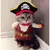 ZooVenture Costume de Pirate pour Chien et Chat ZooVenture Costume de Pirate pour Chien et Chat