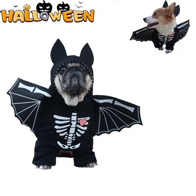 ZooVenture Costume de Halloween pour Chat et Chien Fantôme Batte