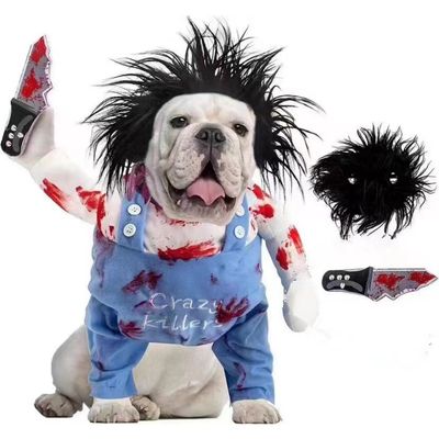 ZooVenture Costume de Halloween pour Chat et Chien