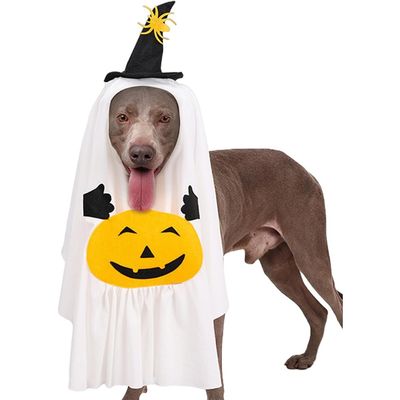 ZooVenture Costume de Halloween pour Chat et Chien Fantôme